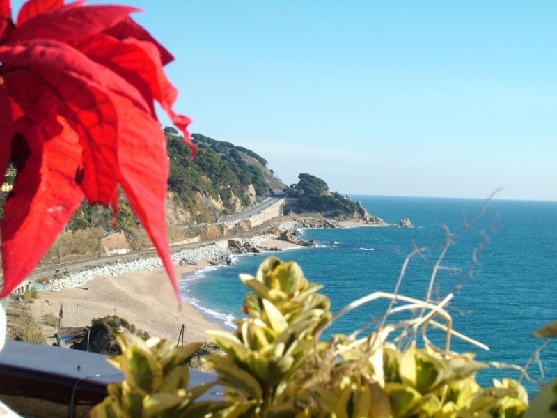Gran Sol Hotel Sant Pol De Mar Bagian luar foto